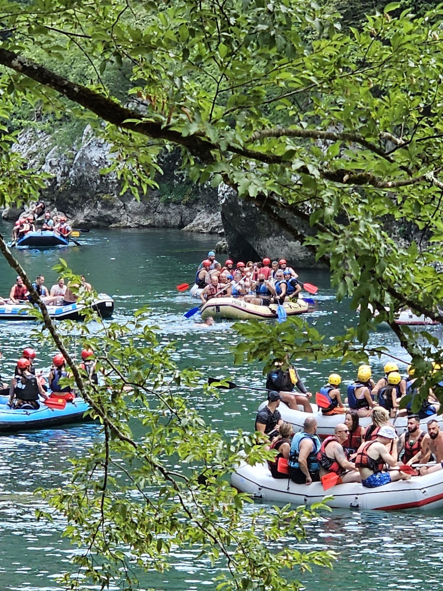 Jednodnevni rafting — spust kroz kanjon Tare